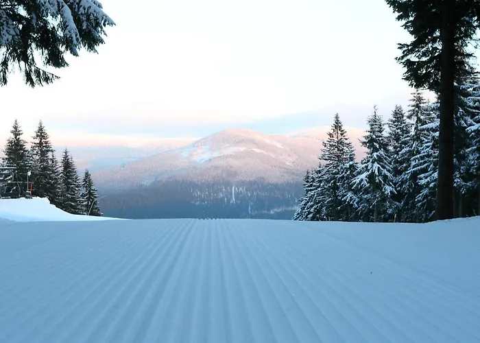 Resident Family * Harrachov